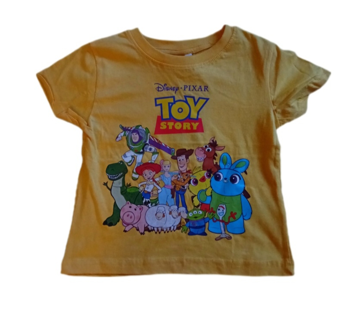 Toy Story Shirt
